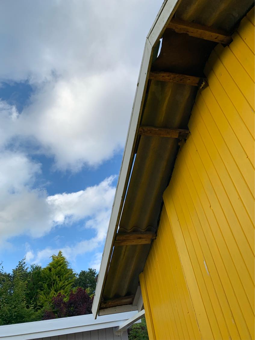 Maling af endegavl på kolonihave