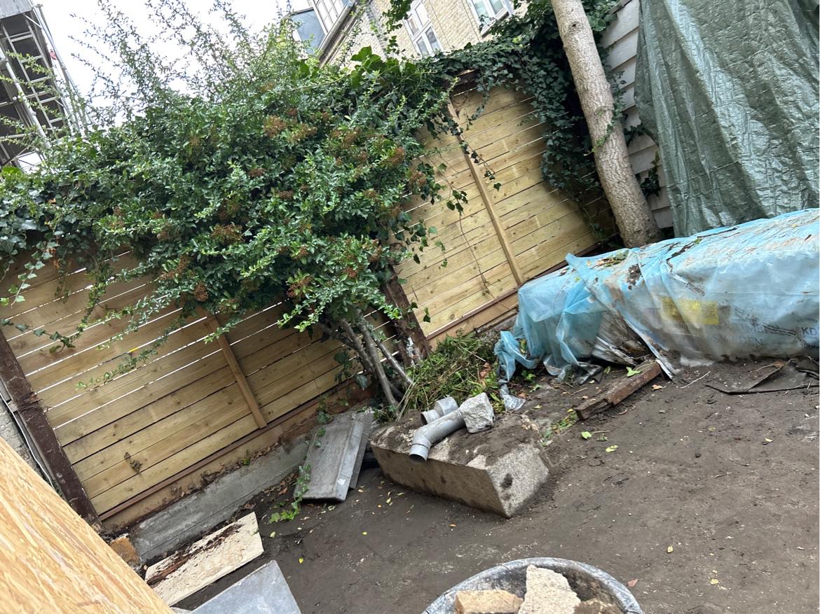 Lille træ skal fjernes og på genbrugspladsen