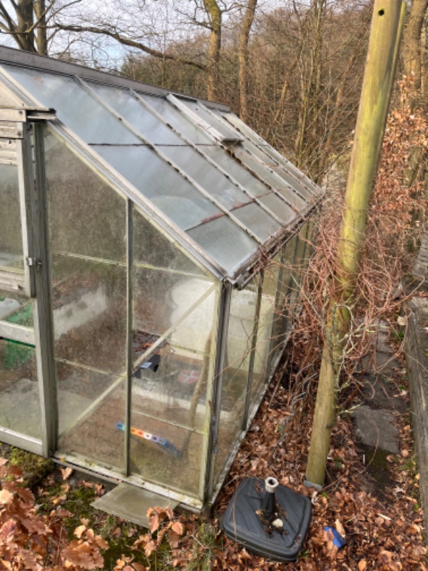 Fældning af æbletræ og afmontering af drivhus