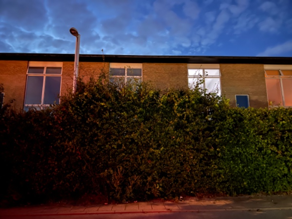 Hækkeklip med bortkørsel af grene. Meget høj hæk trimmes ned og ind - ca. 10-12 løbende meter.