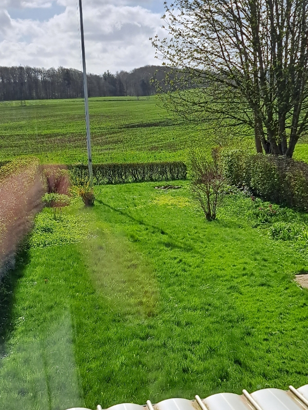 Slå græsplæne ugentligt