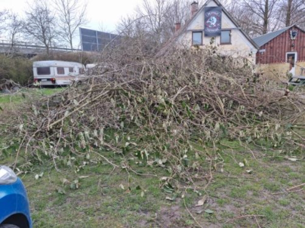 Fjernet en stor bunke grenaffald.