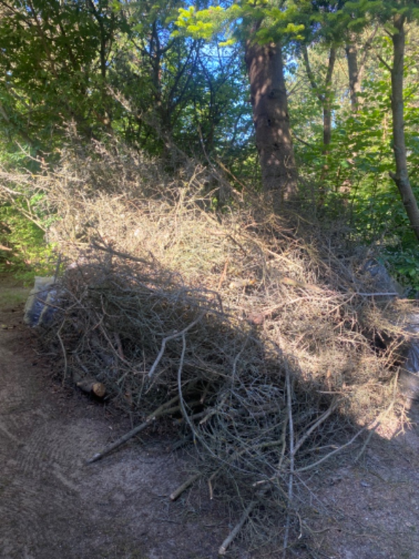 Afhentning af haveaffald