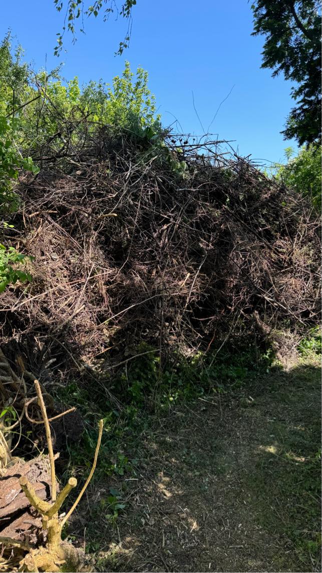 Fjernelse af grenaffald 