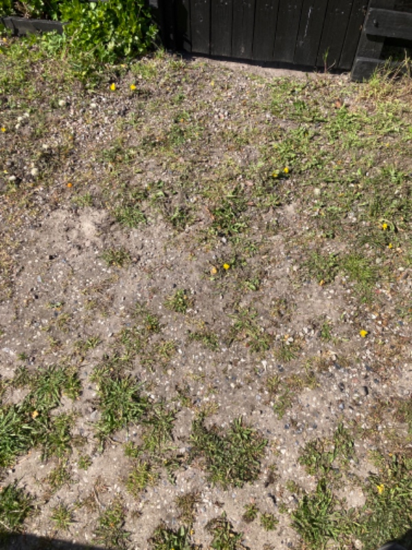 Jeg skal have lagt fliser i havegang.