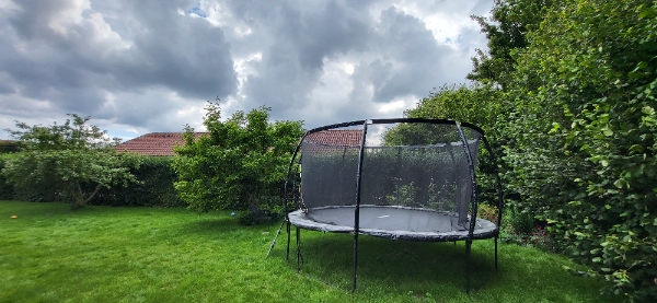 Klipning af ligusterhæk