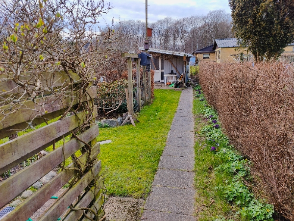 Græsplæneklipning og hæktrimning