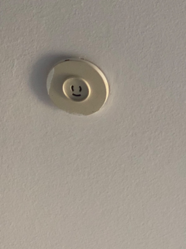 Elarbejde og ophængning 