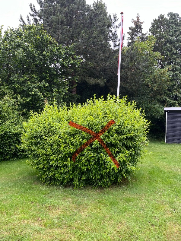 Fældning af træer og buske