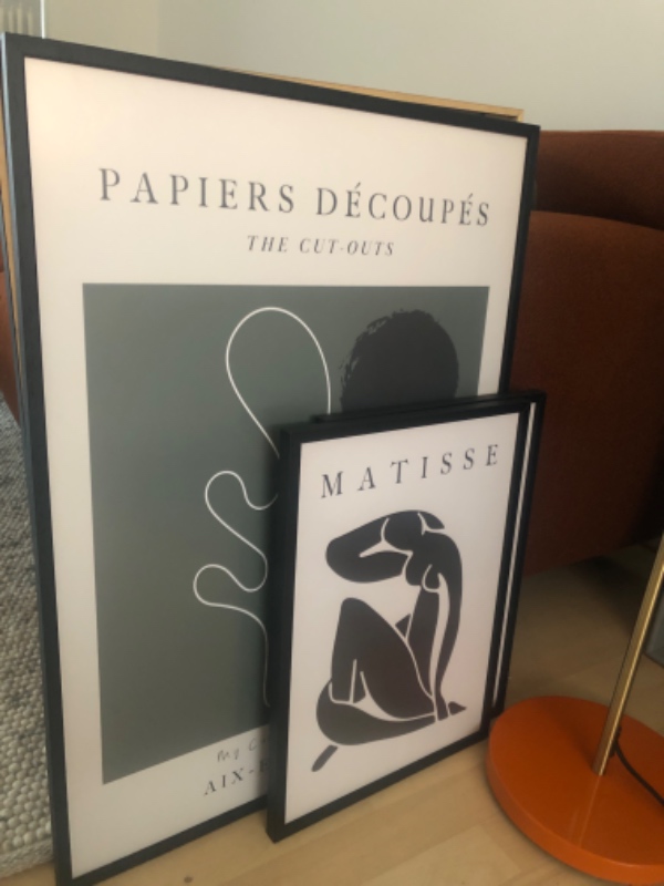 Hængt TV på væg. To reoler hængt op. 4 lamper sat op. 4 billeder hængt op.