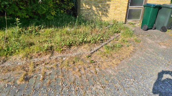 fjerne ukrudt og klippe hæk