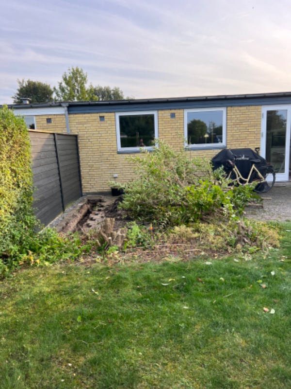 Bortførsel af grene og to stubbe op