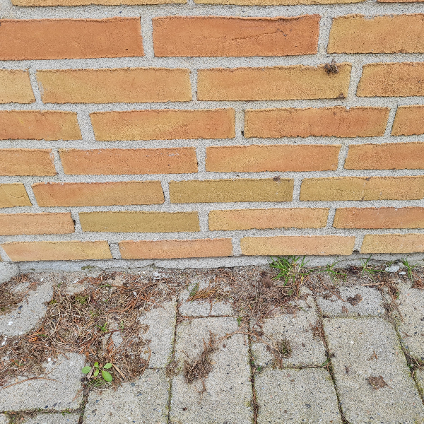 Rep af sokkel på hus