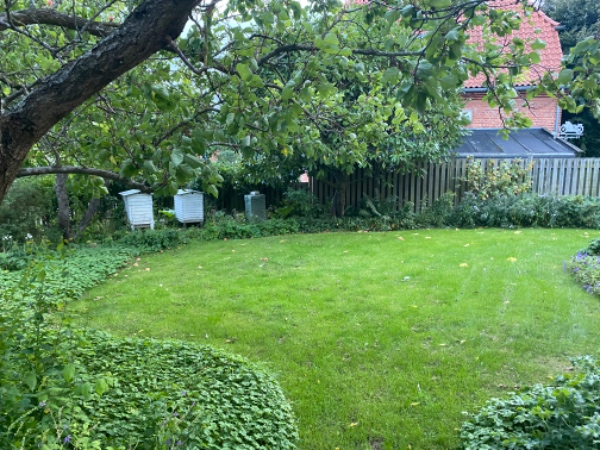 Ukrudtsbekæmpelse