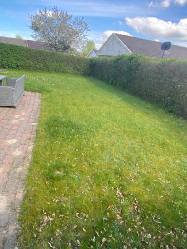 Havearbejde og græsslåning