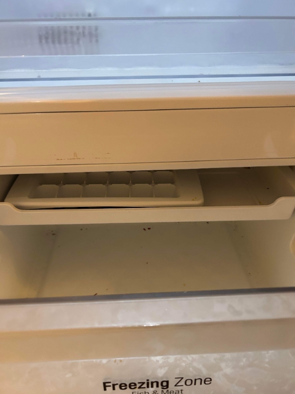 Lejlighedsrengøring