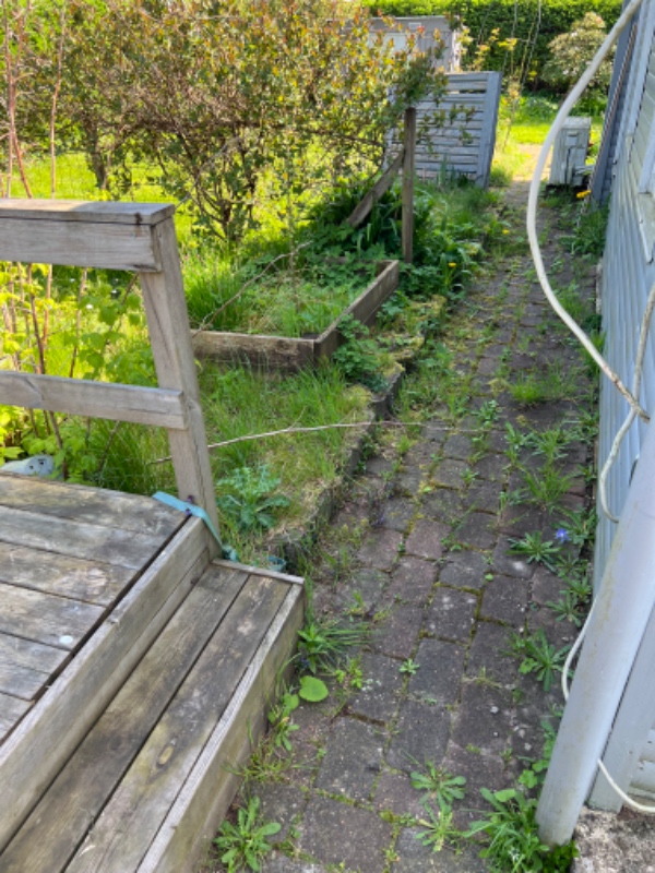 Havearbejde i kolonihave