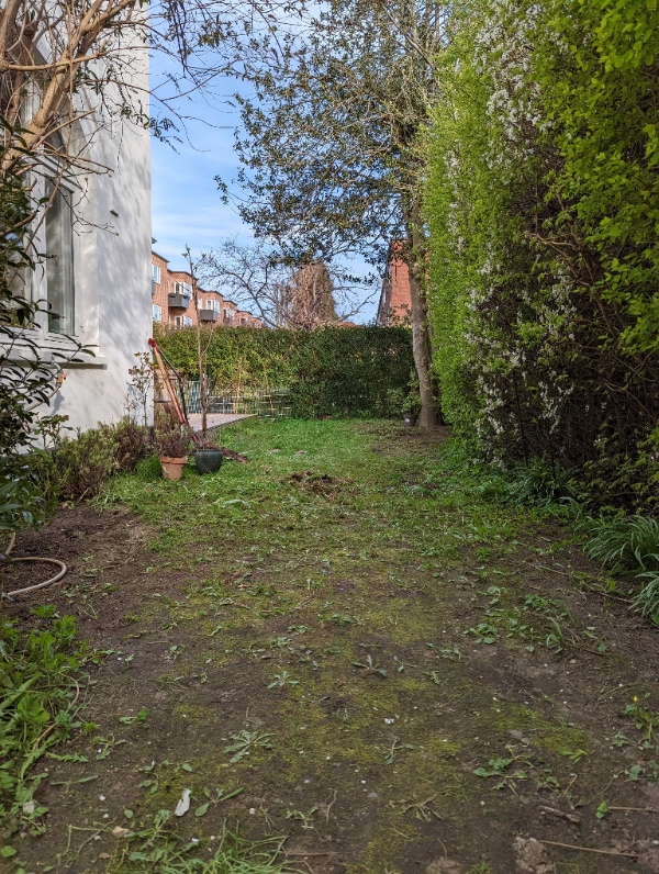 Jeg ønsker udjævning af græsplæne og anlagt rullegræs som er egnet til skyggeområde.