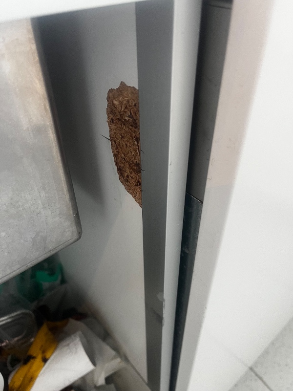 Reparation og ophængning af køkkenlåge efter den er knækket af.