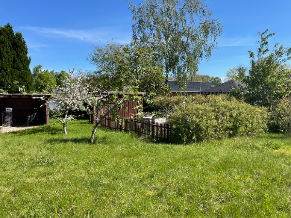 Græsslåning og hækklipning