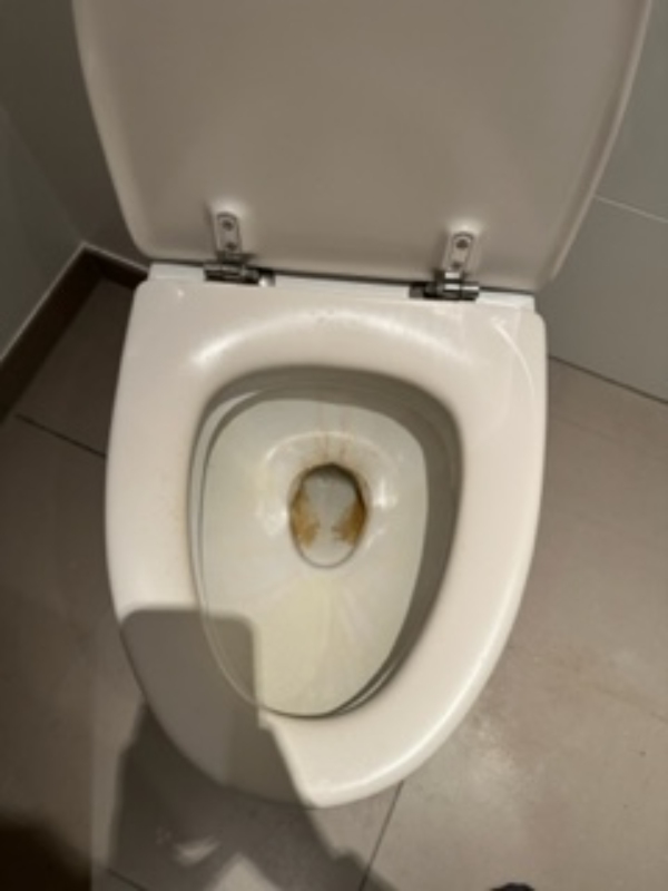 Rengøring af lejlighed