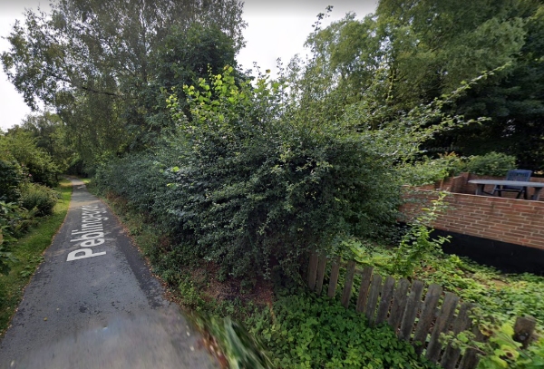 Jeg har en en hæk Der er 4 meter høj og Jeg vil gerne have den ned i cirka halvanden meters højde hæ