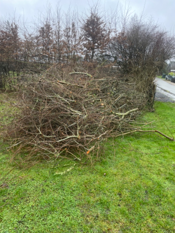 Bortakskaffelse af haveaffald