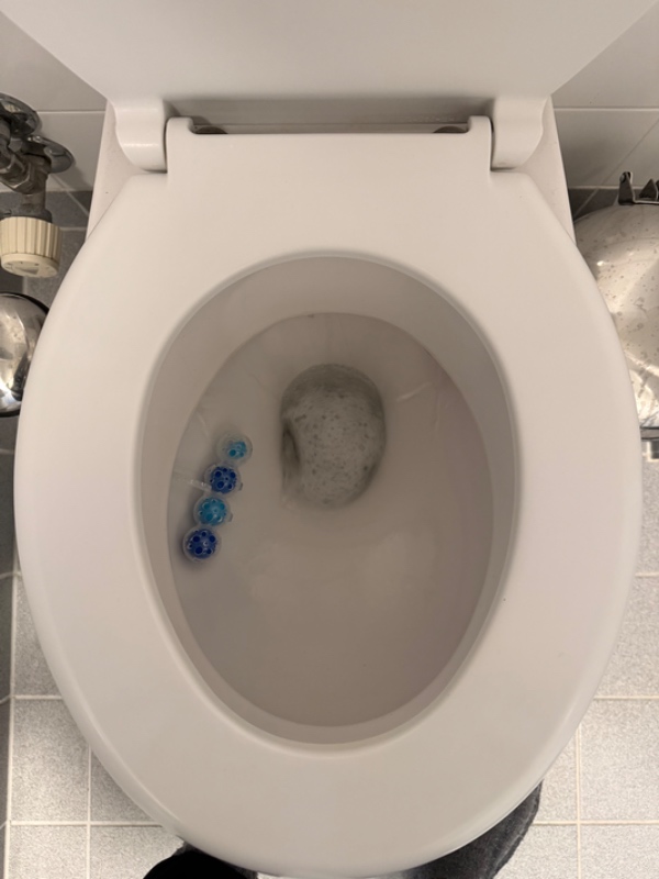 Showersystem