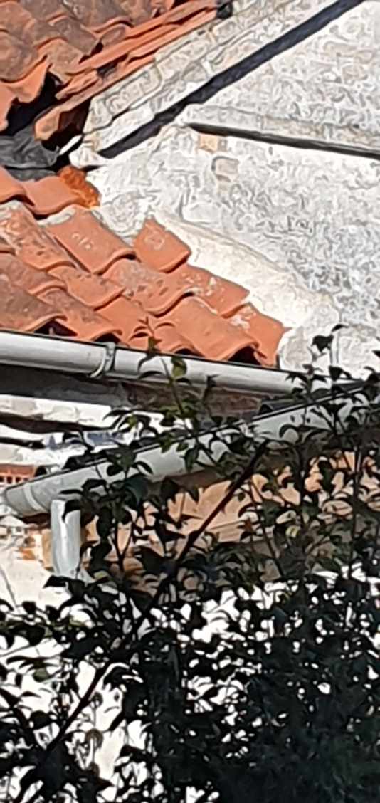 VVS’er eller BLIKKENSLAGER til Skotrender