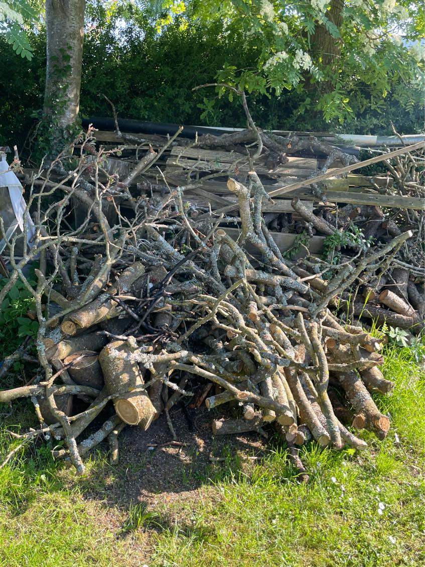 Brænde skal køres på genbrugsplads 