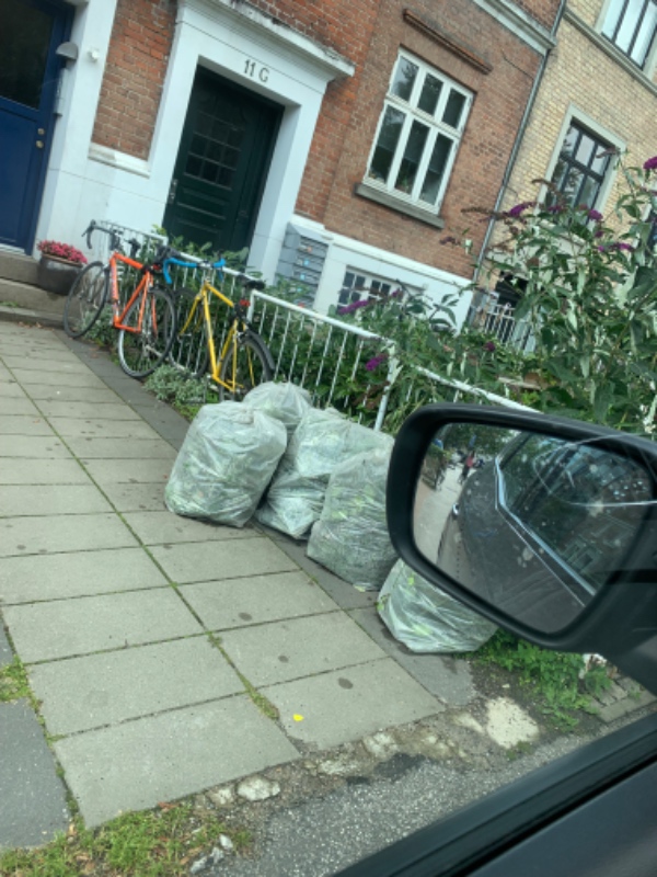 Beskæring af mindre træer og hæk