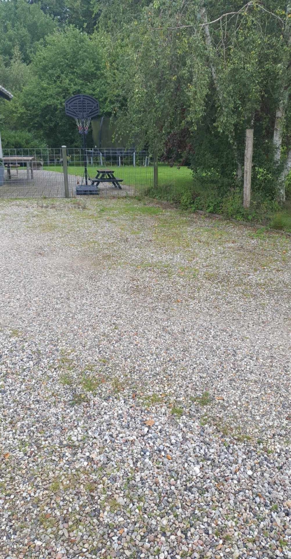 Klippet hæk og buske. Fjerne ukrudt i indkørelsen