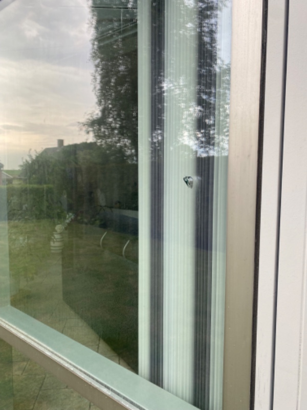 Skifter punkteret rude