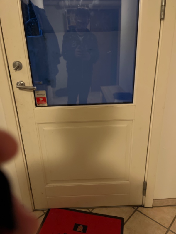 Installation af kattelem