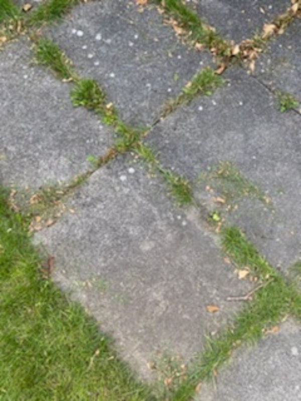 Fjerne fliser og gøre klar til græs