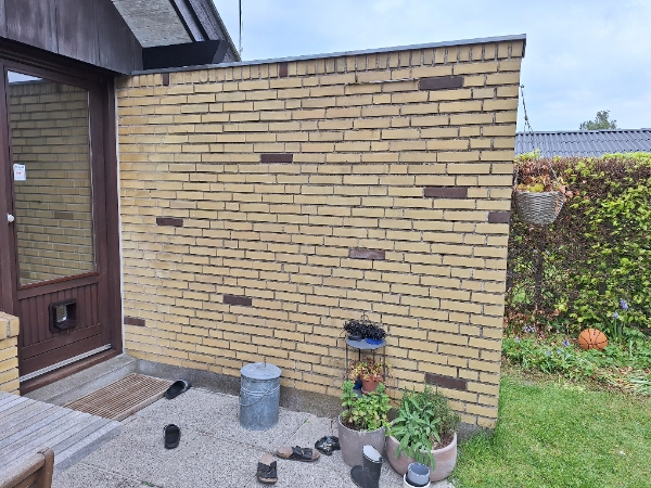 Omfugning af læmur