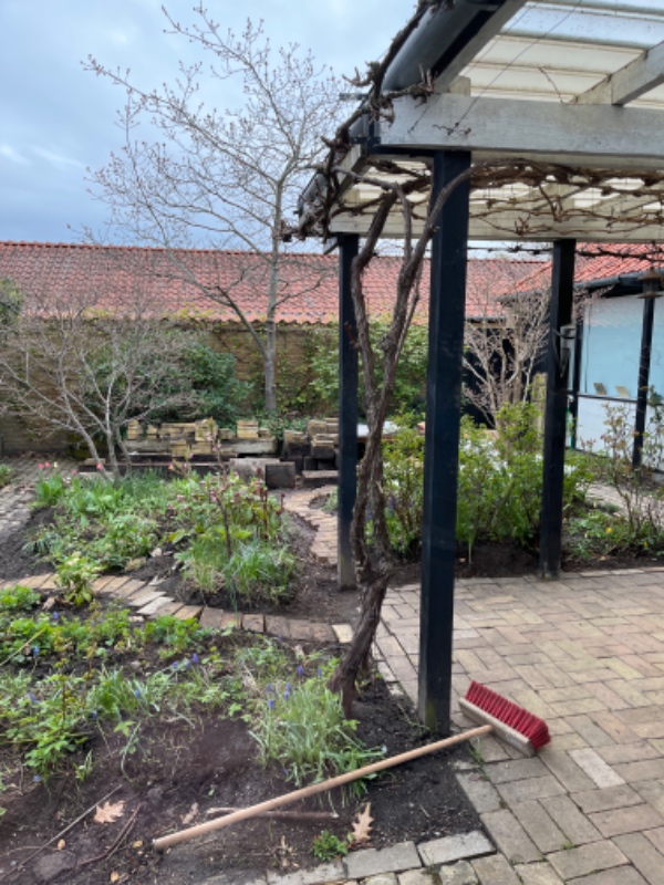 Afhentning af 20 gamle sveller