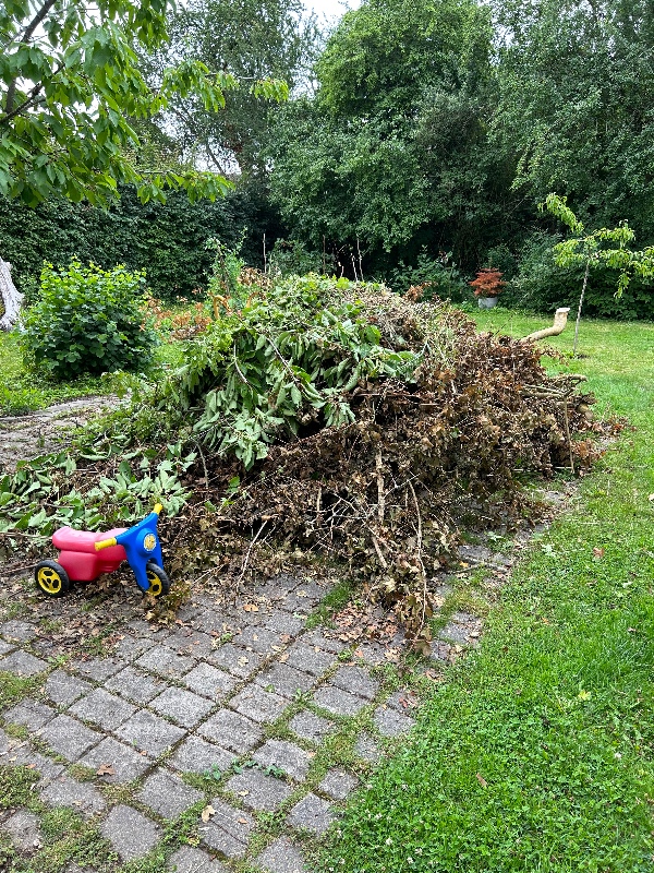 Afhentning af haveaffald og andet skrammel til genbrugsstationen