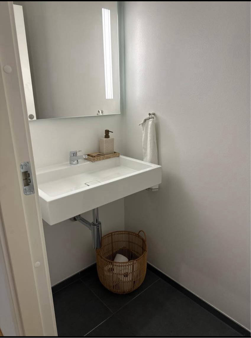 Rengøring af badeværelse + gæstetoilet