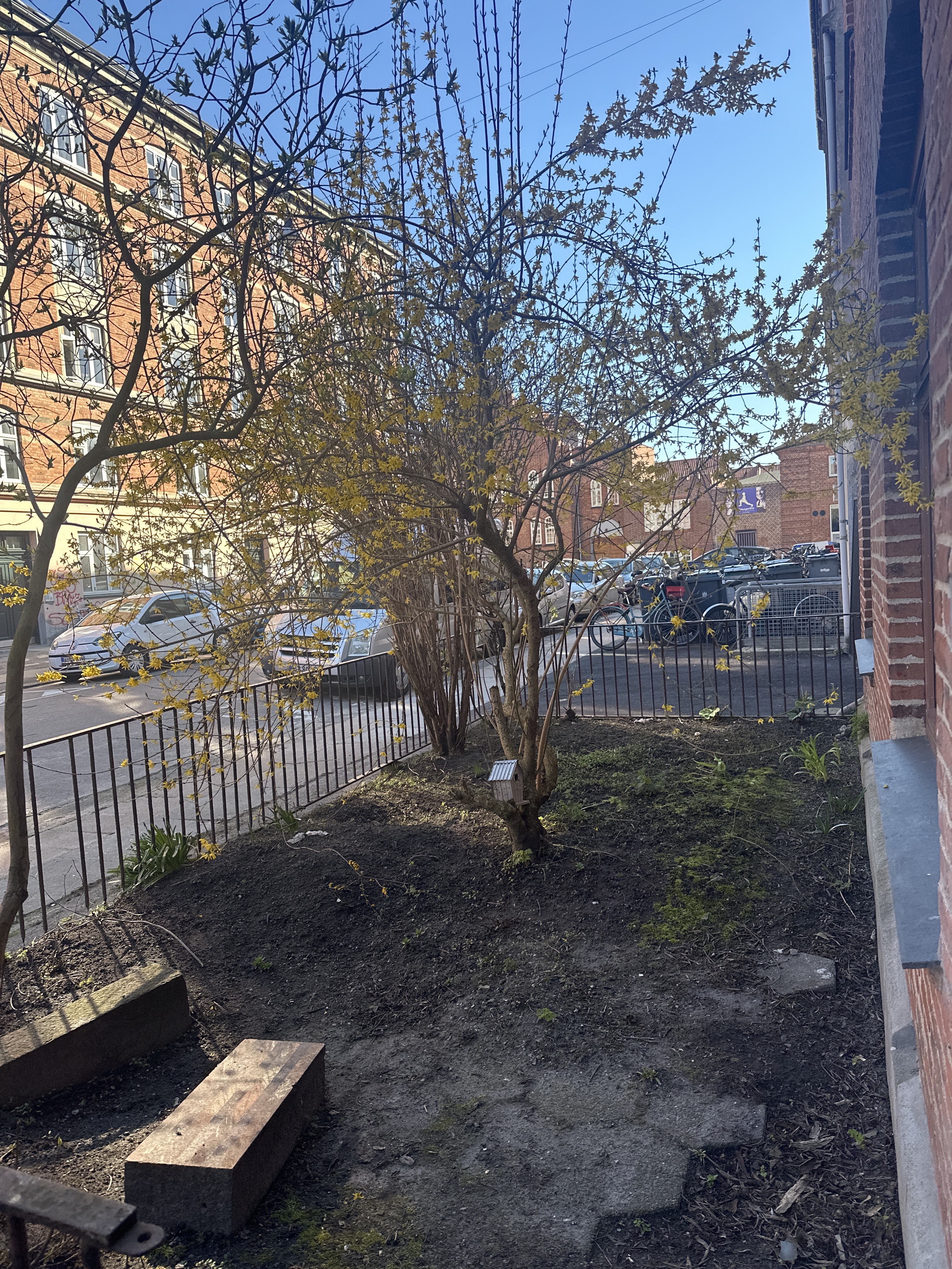 Havearbejde samt rullegræs