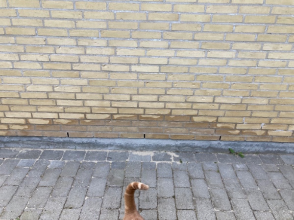 Sokkelreparation og fugning