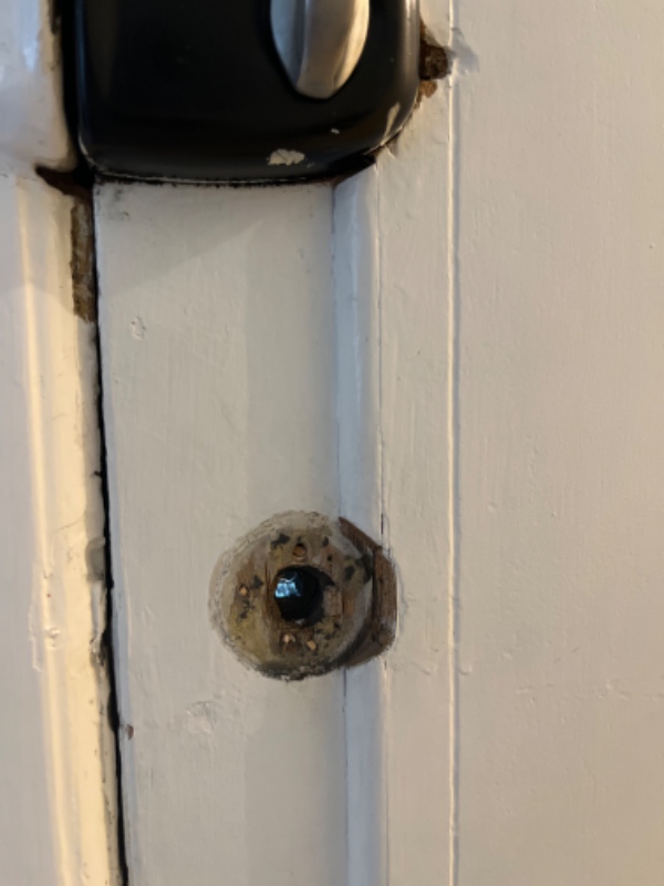 Løst dørhåndtag gammel hoveddør hvor træer er mørnet