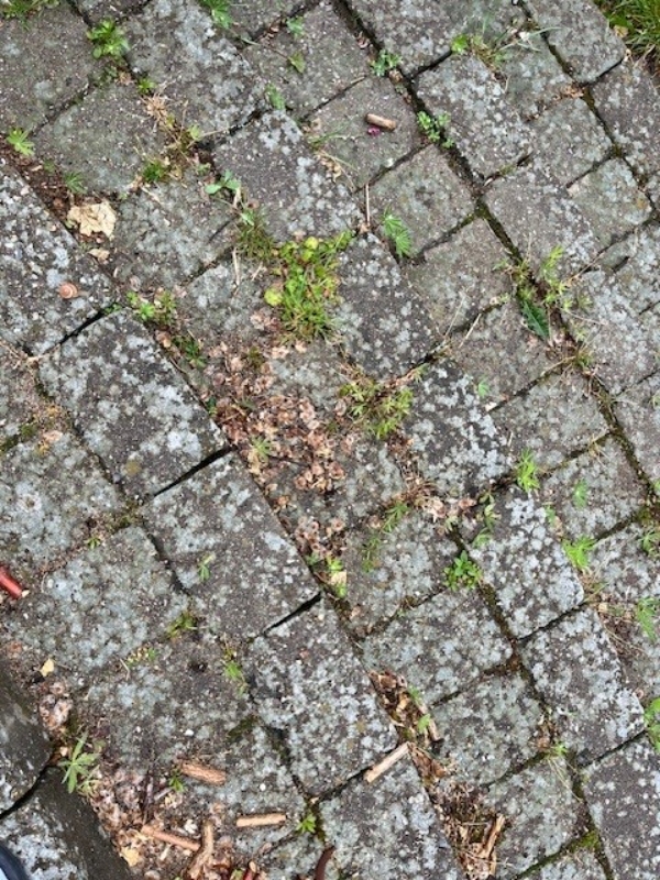 Terrasserens og algebehandling 20 kvm