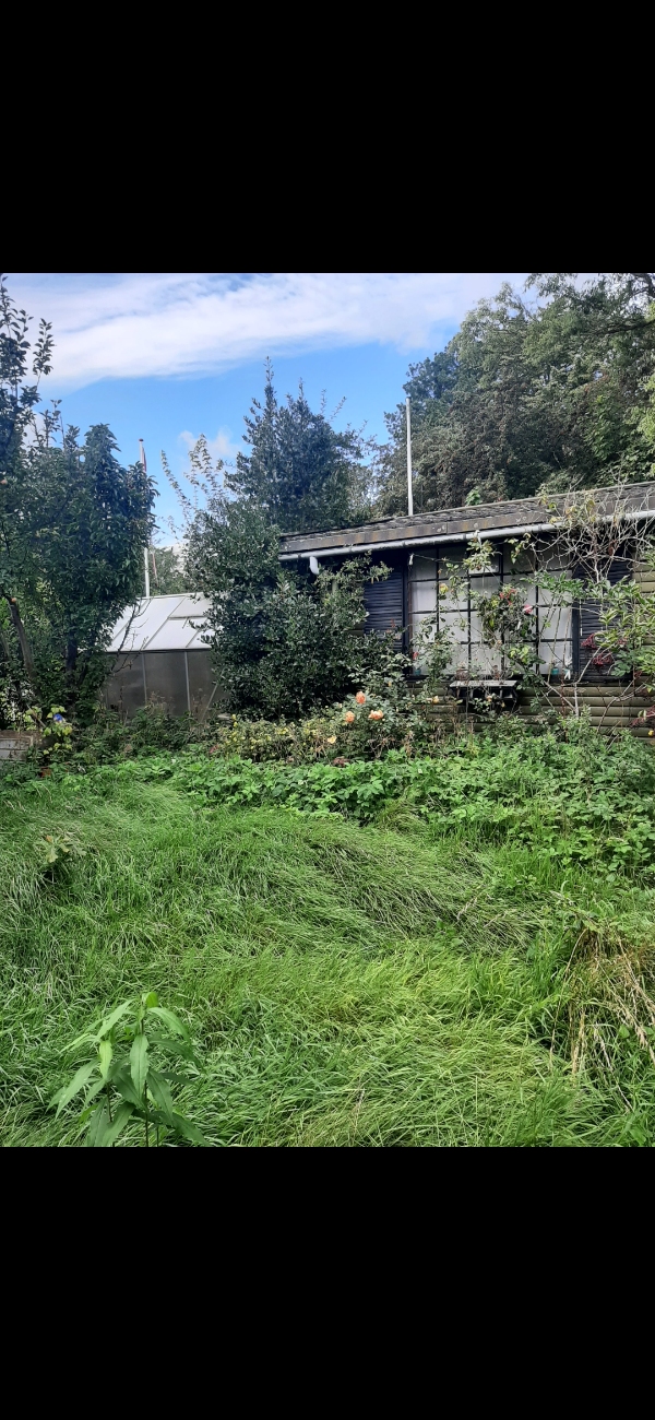 Beskæring rydning af diverse buske mm. Græs. Rudning af Brombær og hindbær. Bortkørsel af haveaffald