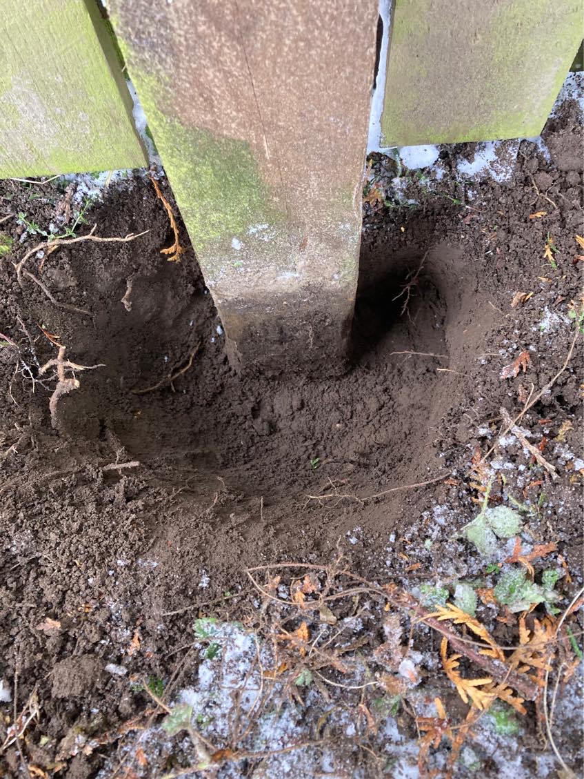 Reparation af stort træhegn som står løst efter storme Pia. Der skal støbes 5 til 7 nye stopler i jorden, der skal nok også sættes et par nye bradder på hegnet.