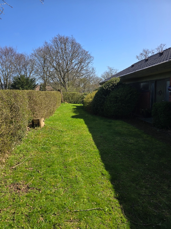 Hækfjernelse og græsslåning