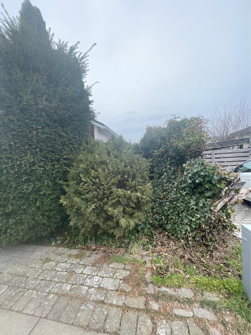 Oprydning af forhave og have