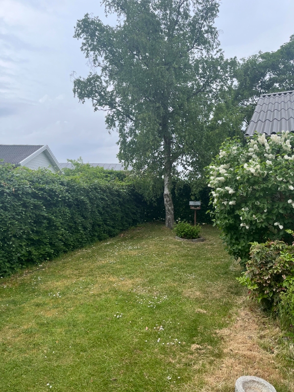 Hækklipning omkring hus