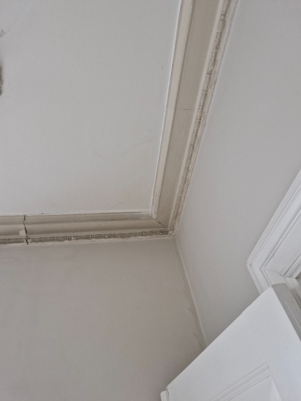 Rensning af stuk, maling af loft.