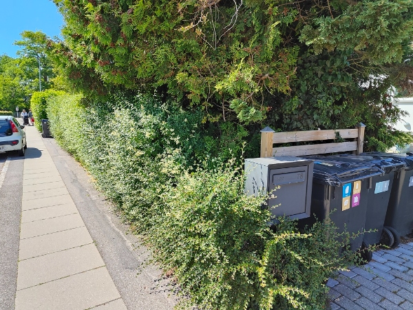 Hækkeklipning og bortskaffelse